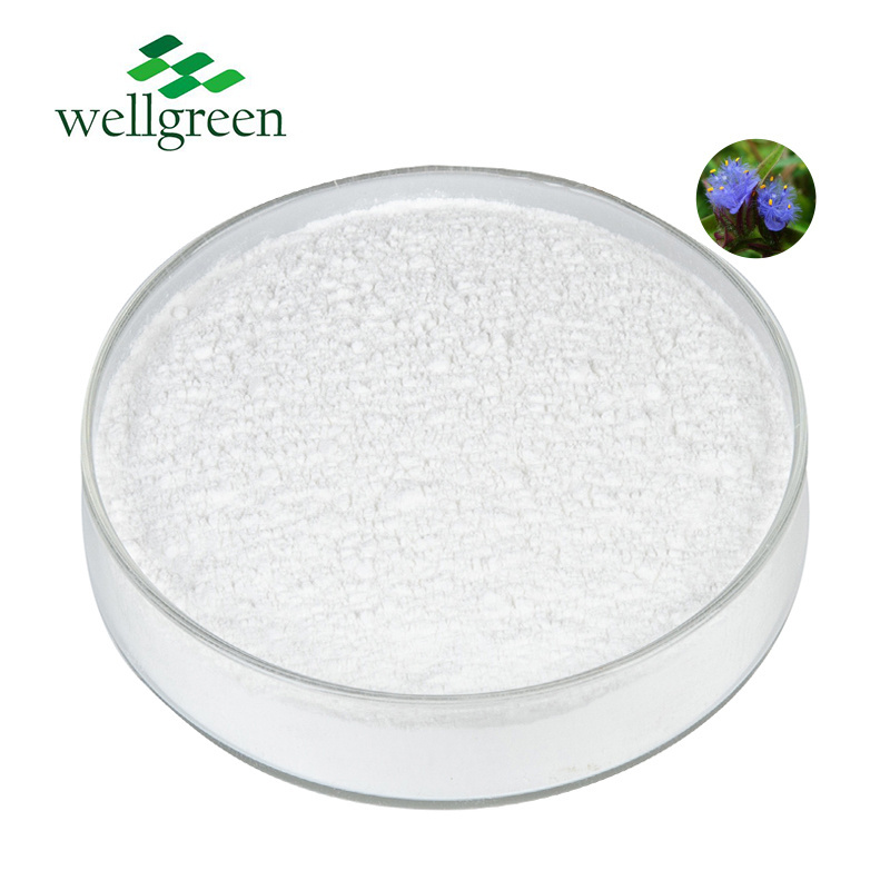 High Quality Natural Dew Grass Extract Ecdysterone 98% HPLC Beta Ecdysterone Powder