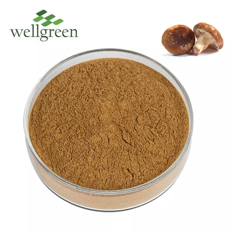 High Quality 100% Pure AHCC Extract Bulk Shiitake Mycelia Shitake Mushroom Ahcc Powder