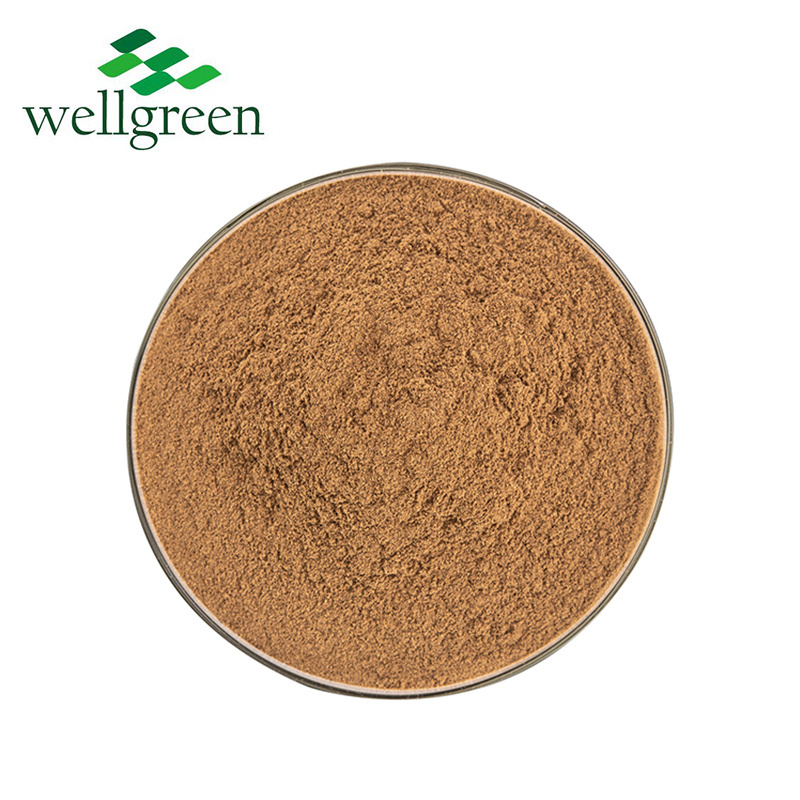 Rich 10%-50% Polysaccharides Sparassis Crispa Chaxingu Tea Tree Mushroom Agrocybe Aegerita Extract