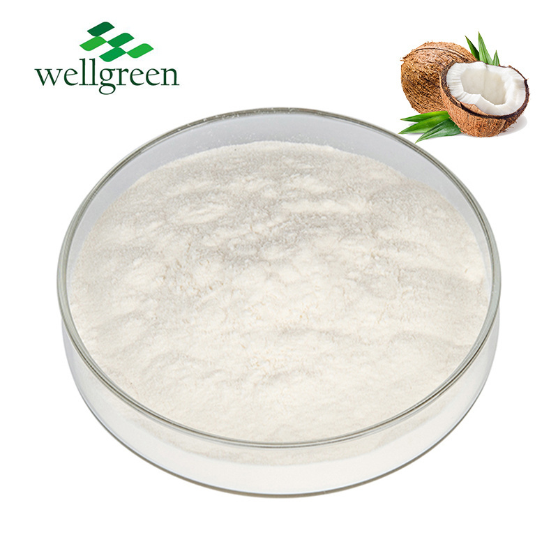 Wellgreen Factory Wholesale Bulk Price Coconut Milk Powder Bulk Organic Coconut Milk Powder