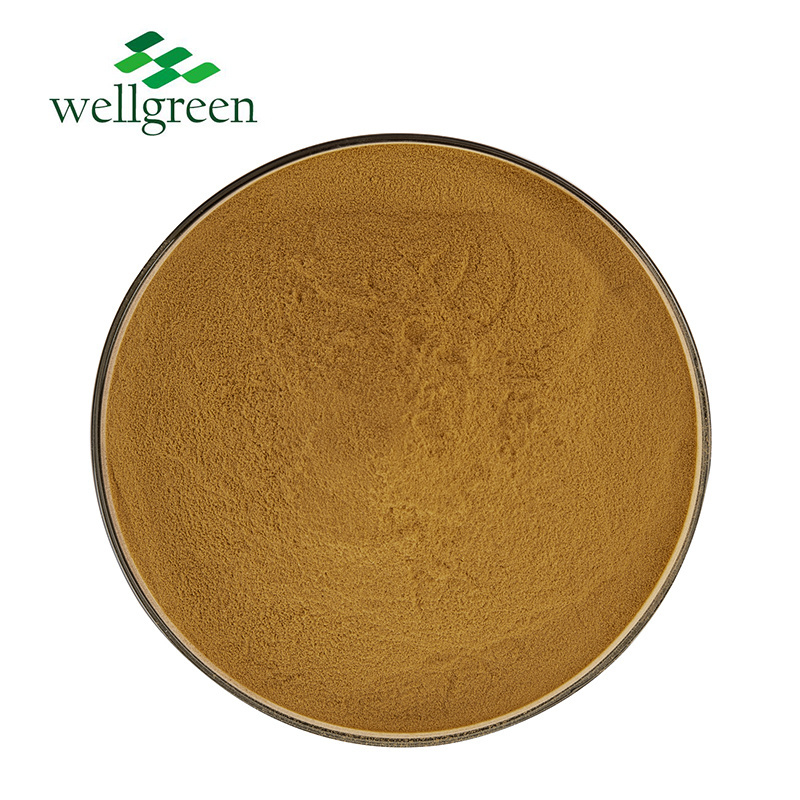 Wellgreen Miracle fruit Extract Miracle berry Extract for Healthcare