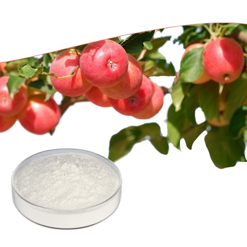 Apple Cider Vinegar Powder Apple Extract 5%-10% Polyphenols