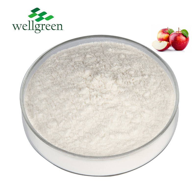 Natural Fruit Extract Apple Cider Vinegar Powder 10% Polyphenols