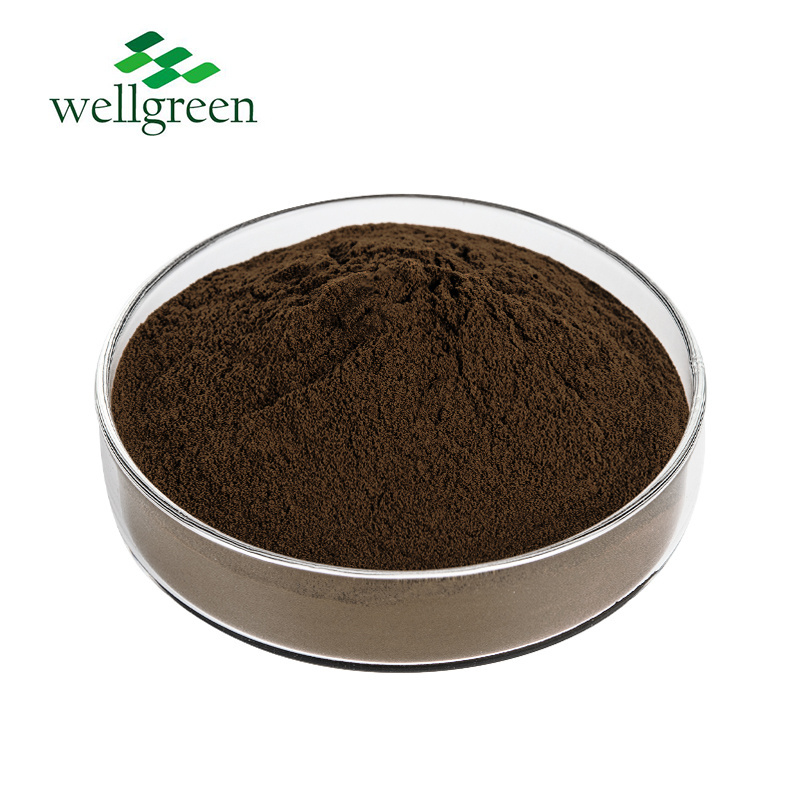 Wellgreen Weeping Forsythia Suspensa Fruit At john's Wort Extract 0.3% Powder Hypericin