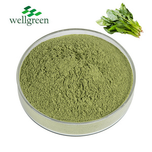 Natural Factory Price Natural Organic Water Soluble Dehydrated Juice Vegetable Spinach Powder