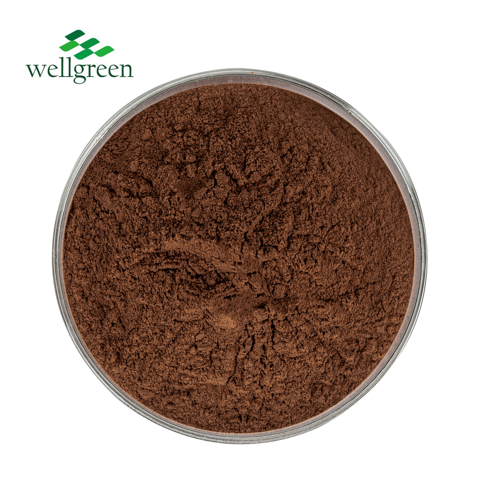 Wellgreen Spray Bee Liquid Pure Water Soluble Powder Green Resin Propolis Extract 2.5%Flavone