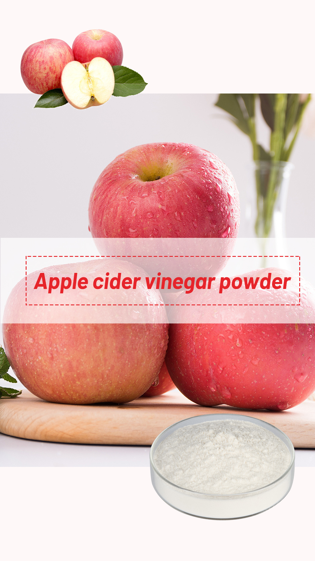 Free Sample Factory Directly Organic Apple Cider Vinegar Powder With High Quality