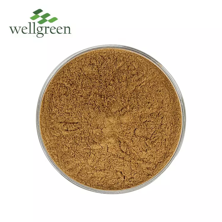 High Quality 100% Pure AHCC Extract Bulk Shiitake Mycelia Shitake Mushroom Ahcc Powder