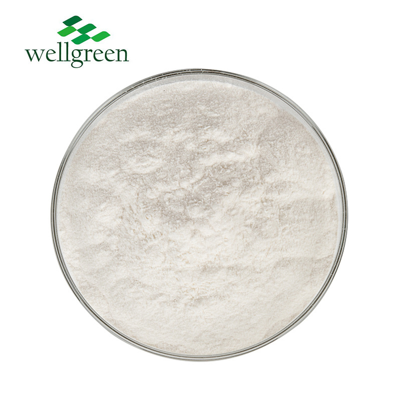 Wellgreen Factory Wholesale Bulk Price Coconut Milk Powder Bulk Organic Coconut Milk Powder