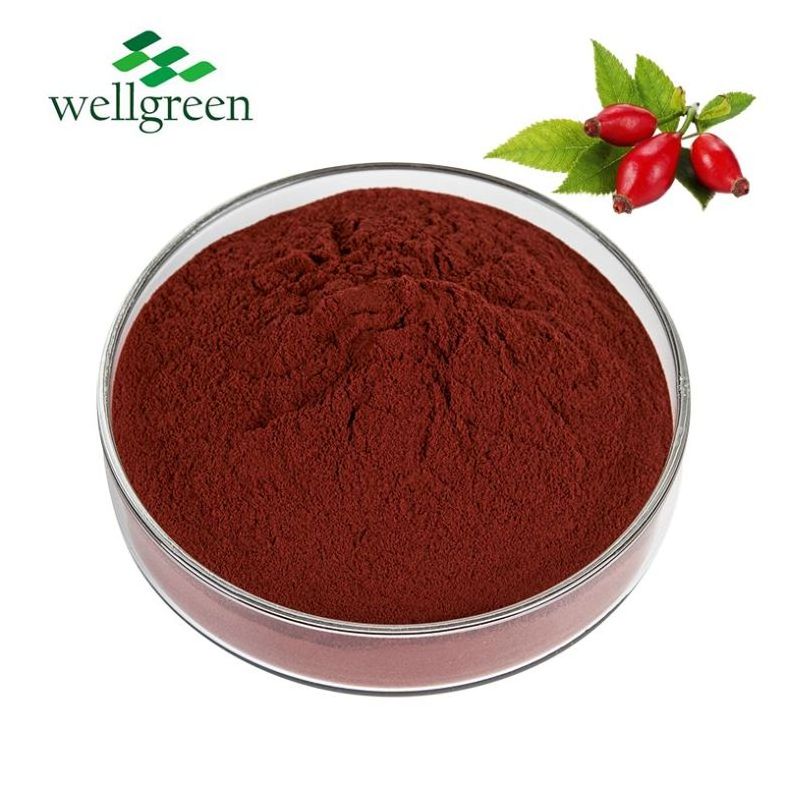 Free Sample  High Quality Pure Food Additive Rose Hip Vitamin C Supply Rosehip Extract Powder