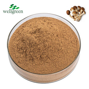 Rich 10%-50% Polysaccharides Sparassis Crispa Chaxingu Tea Tree Mushroom Agrocybe Aegerita Extract