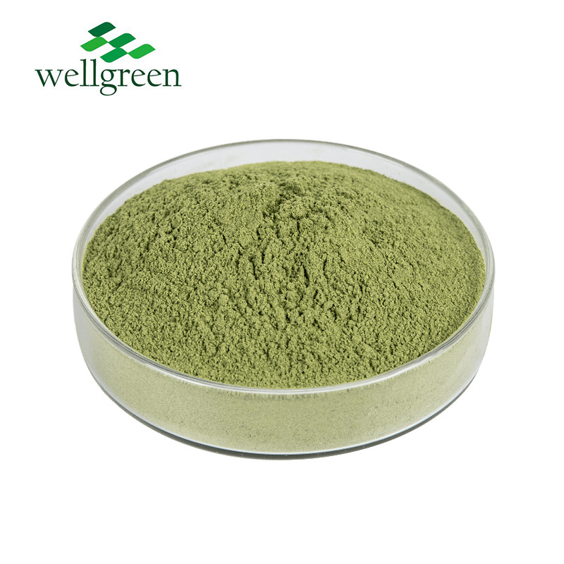 Natural Factory Price Natural Organic Water Soluble Dehydrated Juice Vegetable Spinach Powder