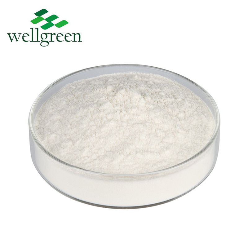 Natural Fruit Extract Apple Cider Vinegar Powder 10% Polyphenols