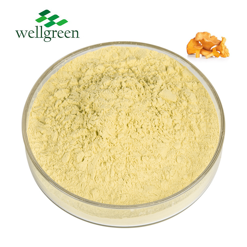 ISO Factory Supply Cantharellus Cibarius Extract/Chanterelle Mushroom Extract 10% Polysaccharides