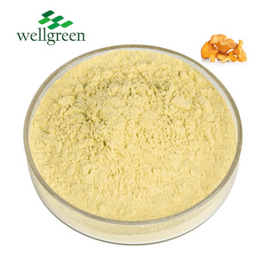 ISO Factory Supply Cantharellus Cibarius Extract/Chanterelle Mushroom Extract 10% Polysaccharides