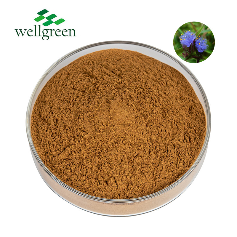 Factory Supply Dew Grass Extract Bate-Ecdysterone UV 90% Cyanotis Vaga Extract Ecdysterone Powder