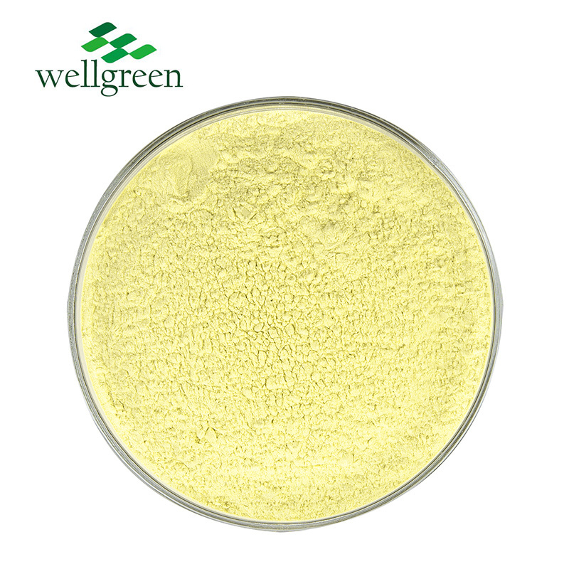 Cosmetic Raw Materials 98% Natural Bitter Orange Peel Extract Hesperidin Powder