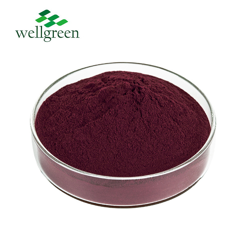 Chinese Golden Supplier Bulk Freeze Dried Lycium Wolfberry Black Goji Berry Powder