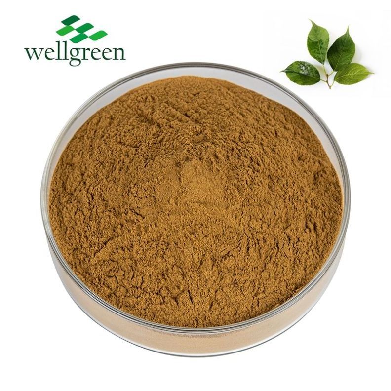 Chlorogenic Acid 5% Natural Eucommia Leaf 10: 1 Eucommia Ulmoides Bark Extract Powder