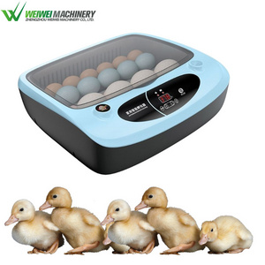 Weiwei Small Household Automatic Quail eggs Bird single Turtle Egg Incubator