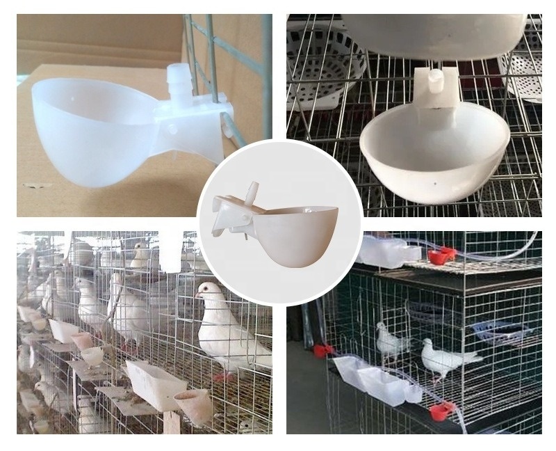 Automatic waterer for parrot birds Pigeon Water Bowl Automatic Drinker