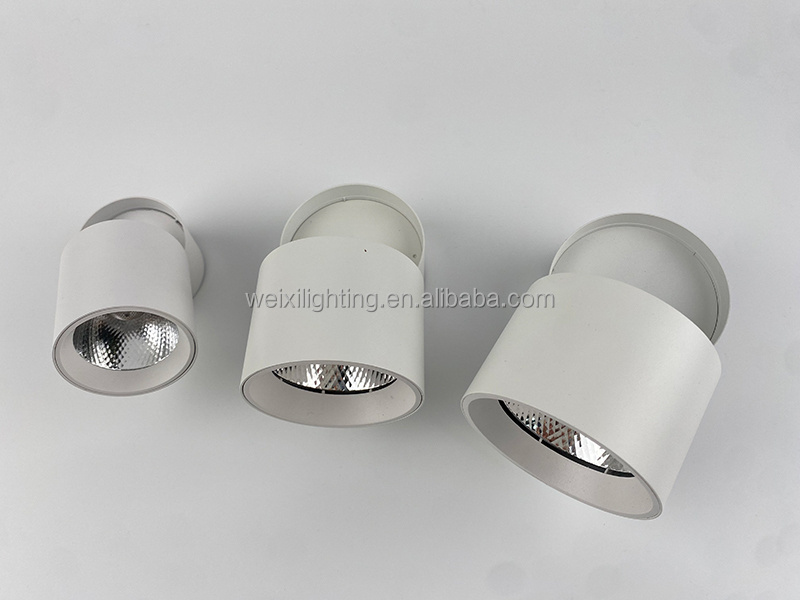 LED Black White Round Waterproof Surface Mounted Cylinder LED Downlight COB Suspended Dimmable Down Light