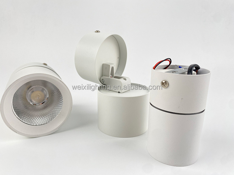 LED Black White Round Waterproof Surface Mounted Cylinder LED Downlight COB Suspended Dimmable Down Light