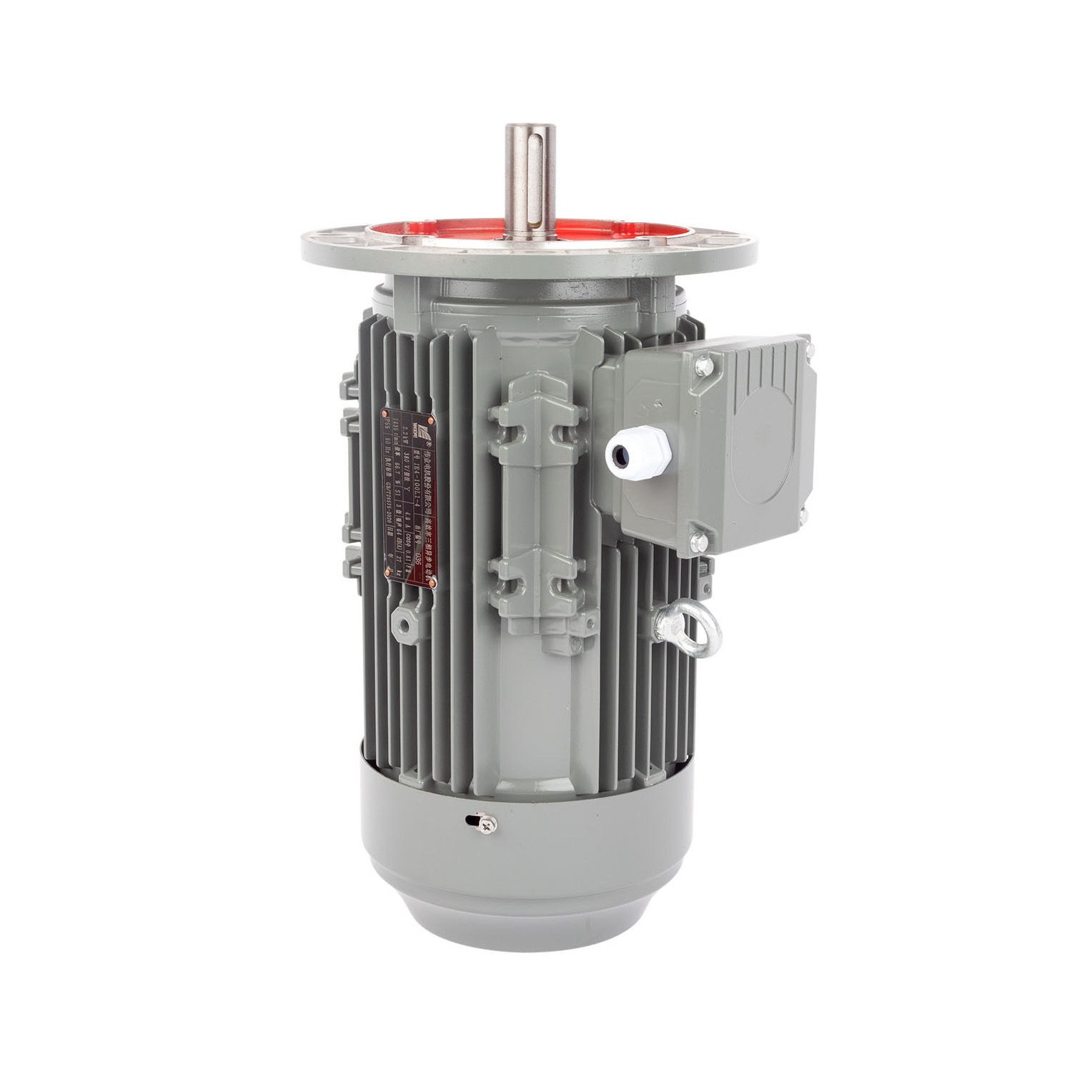 High Quality 380V 50Hz Three Phase Asynchronous Motor AC Induction Motor