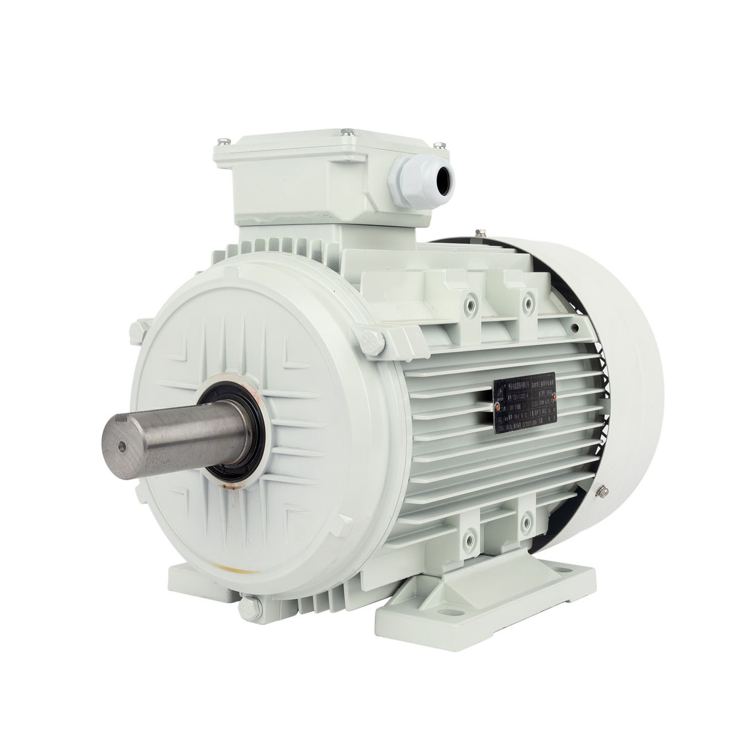 High Quality 380V 50Hz Three Phase Asynchronous Motor AC Induction Motor