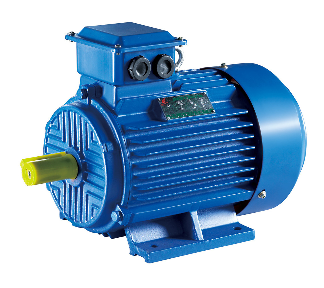 YD132M-8/4  Double Speed Three Phase Electric Motor