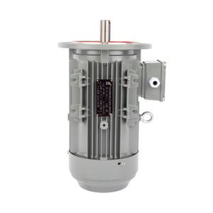 High Quality 380V 50Hz Three Phase Asynchronous Motor AC Induction Motor