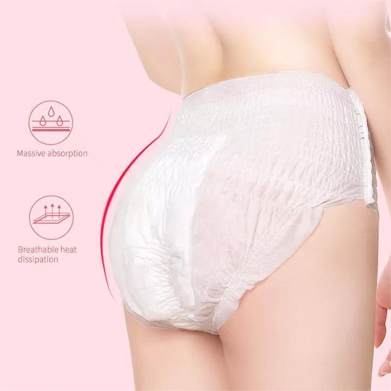 Cleansy Disposable menstrual pants Sanitary Napkin Hygiene Products Regular Sanitary Napkin