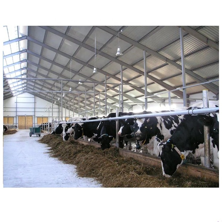 Fast Build Prefab Steel Structure Building Prefabricated Cow/Horse/Sheep shed Barns