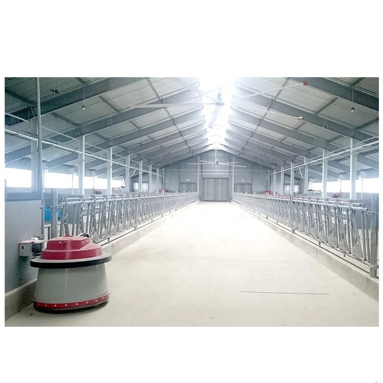 Fast Build Prefab Steel Structure Building Prefabricated Cow/Horse/Sheep shed Barns