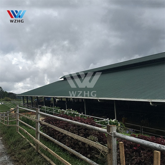 Factory sale Quick build load bearing steel structure warehouse stadium goods chicken house outdoor storage shed