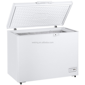 Small Home Comercial  Deep Chest Freezer  For Frozen Food Fish Mean  With Lock Dook Light