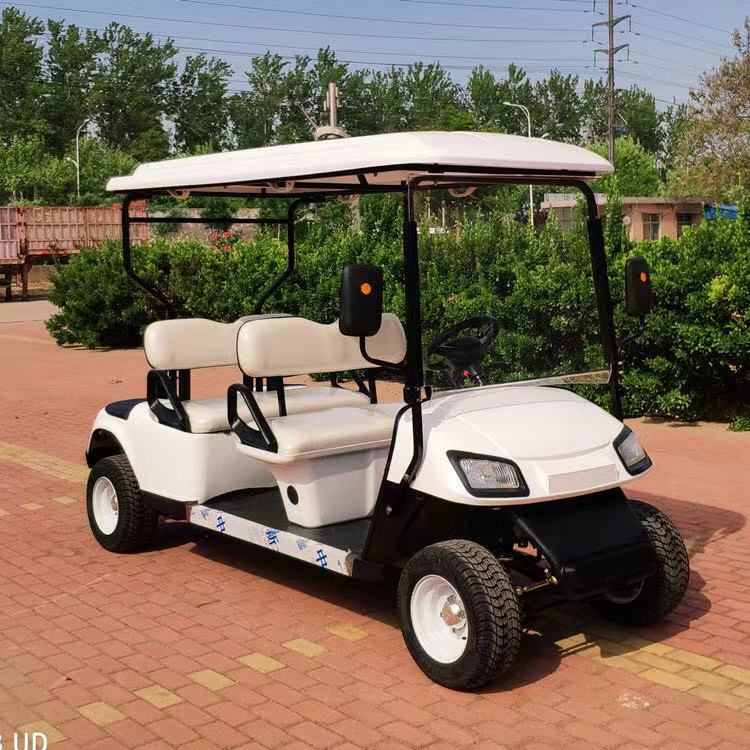 WELIFTRICH small electric golf cart powered passenger car 2+2 4 seater fast delivery