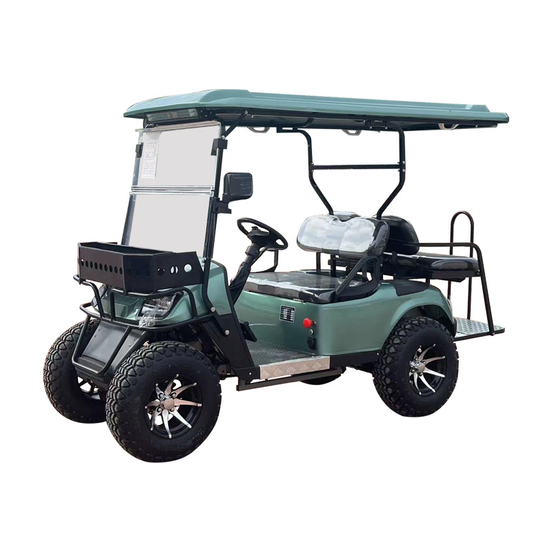 weliftrich 2+2 4 seats electric trolley high quality small cheap sports electric 4 seater Rain Covered with customized color