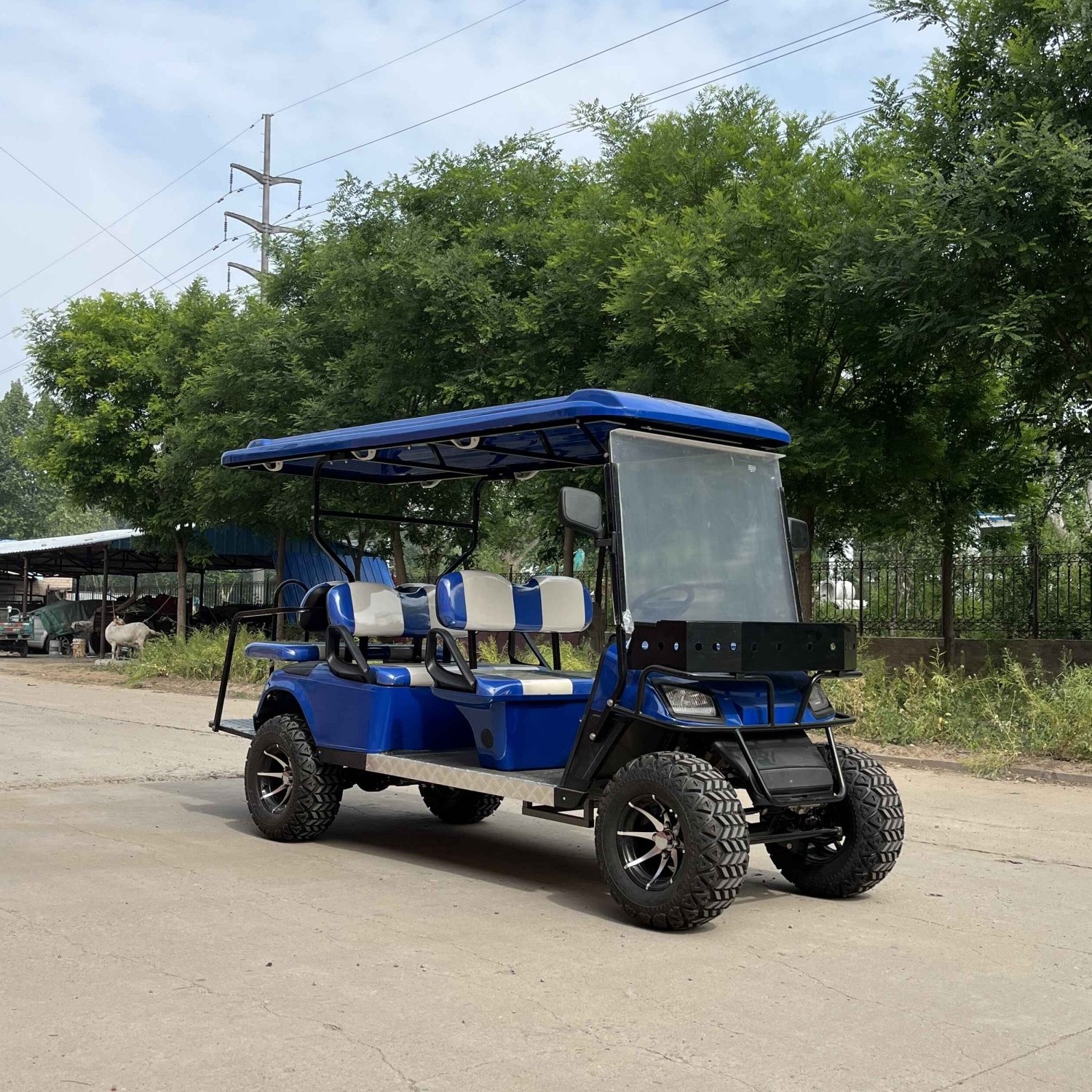 WELIFTRICH Free Shipping Club golf cart Lifted 4+2 Passenger Golf Cart with seats Outdoor 4+2 seat AC 48V Golf Cart