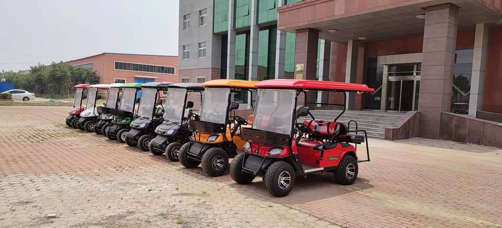 weliftrich 2+2 4 seats electric trolley high quality small cheap sports electric 4 seater Rain Covered with customized color