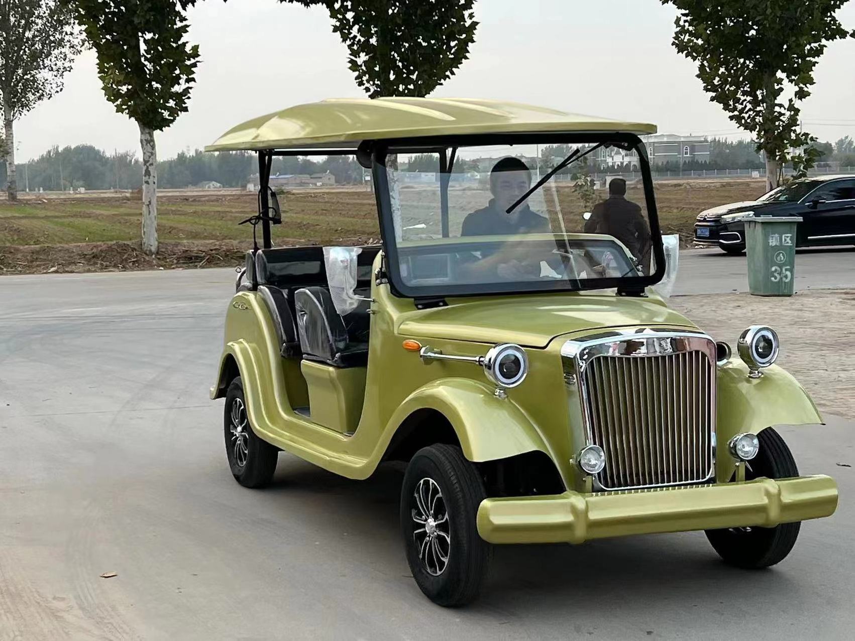 2seats  mini  Weliftrich  golf cart  72V 48V Battery Electric Golf Car Tourism Carts Vintage Sightseeing Car