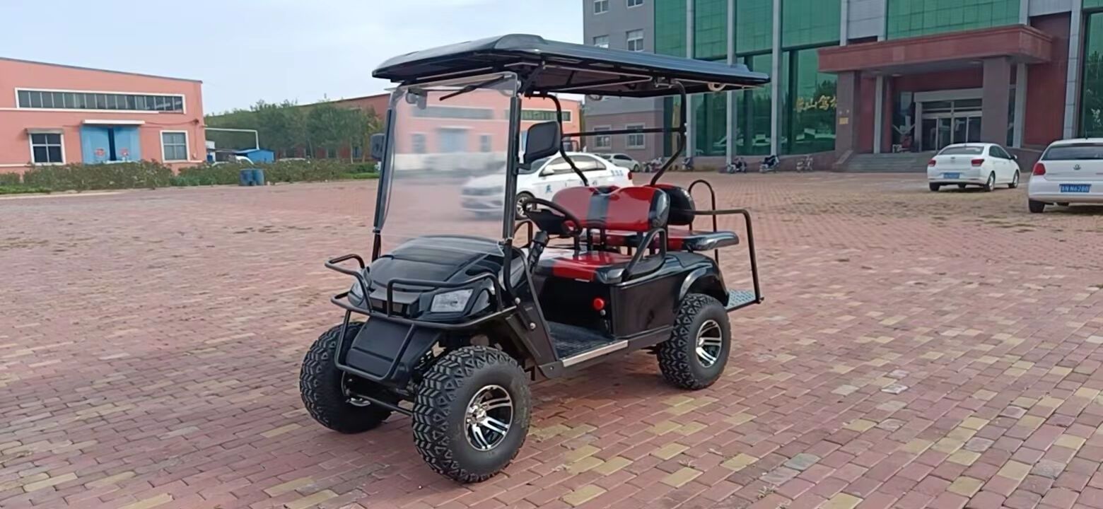 weliftrich 2+2 4 seats electric trolley high quality small cheap sports electric 4 seater Rain Covered with customized color