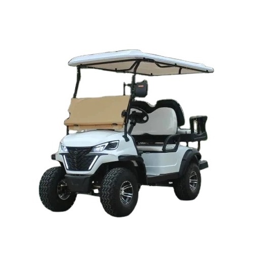 WELIFTRICH AC Motor Electric Golf Cart 6 seaters Electric Sightseeing Car