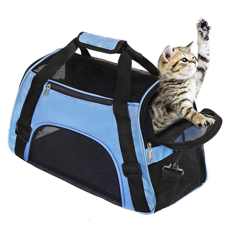 Factory portable pet carriers bag  blue cat carrier outgoing travel back pack & travel productscajas armables