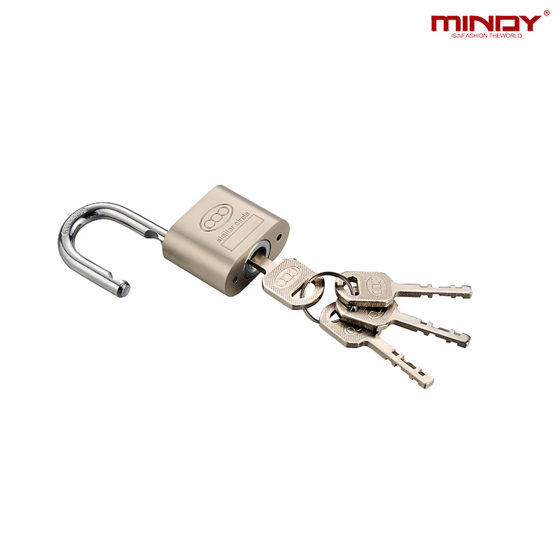 Hardened Rectangular padlock 30-70MM Solid Iron Body Shutter Padlock shipping container lock