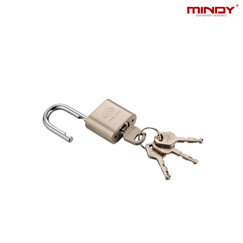 Hardened Rectangular padlock 30-70MM Solid Iron Body Shutter Padlock shipping container lock