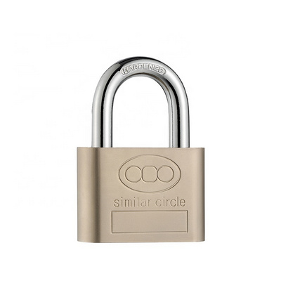 Hardened Rectangular padlock 30-70MM Solid Iron Body Shutter Padlock shipping container lock