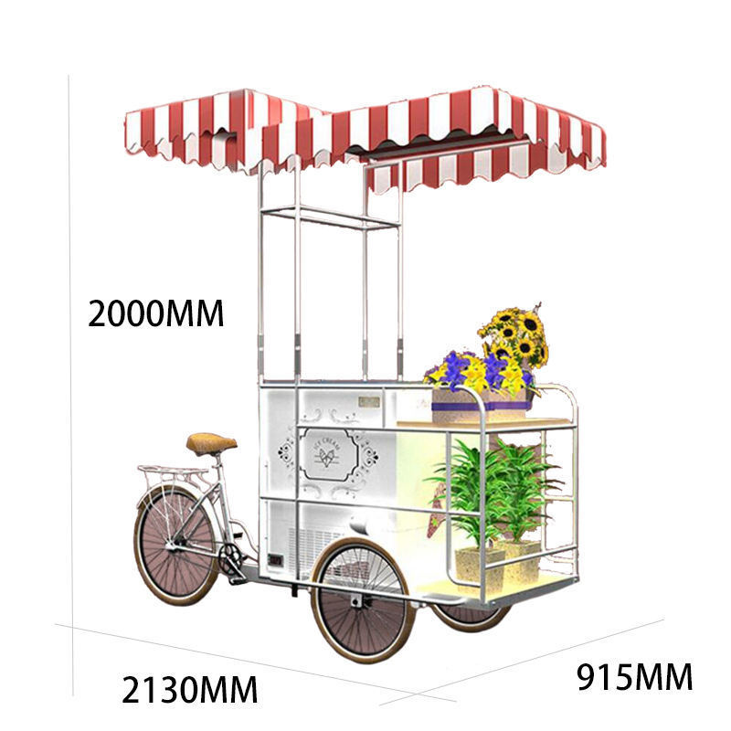 Outdoor Ice Cream Bike Mobile Fast 3 Wheel Electric Tricycle Ice Lolly Popsicle Food Vending Cart