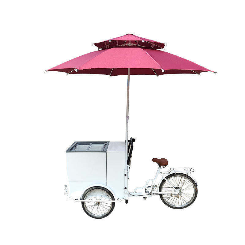 Wheel Cargo Bike Street Ice Cream Bike With Display Freezer High Standard Ice Cream Push Bike Food Cart