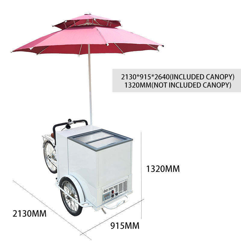 Wheel Cargo Bike Street Ice Cream Bike With Display Freezer High Standard Ice Cream Push Bike Food Cart